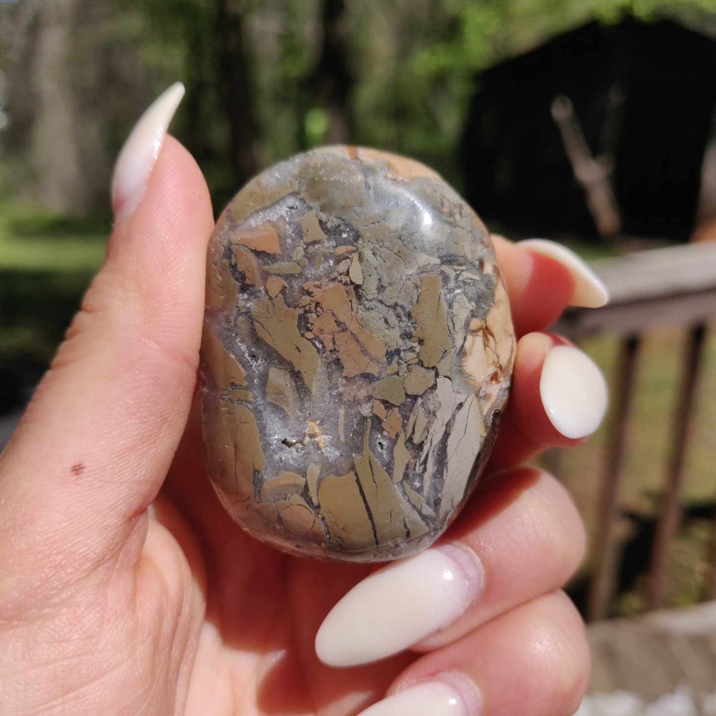 Ibis Jasper Palm Stone (#10)