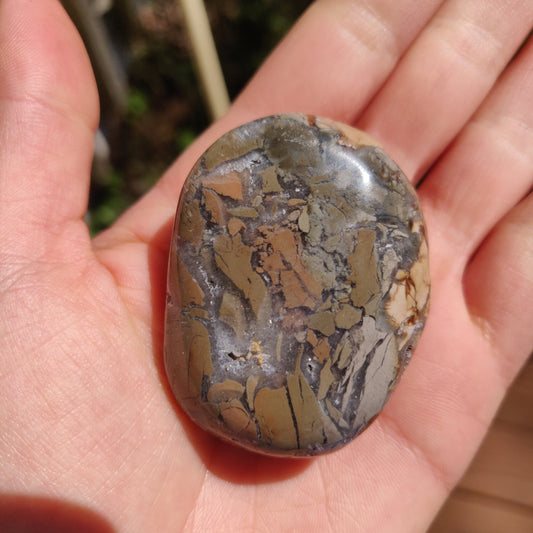 Ibis Jasper Palm Stone (#10)