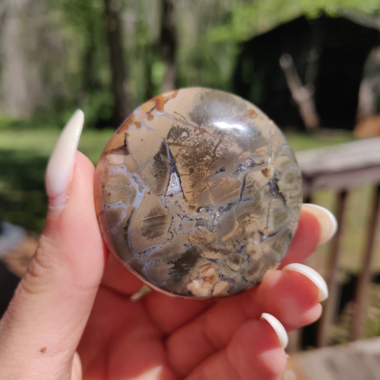 Ibis Jasper Palm Stone (#11)