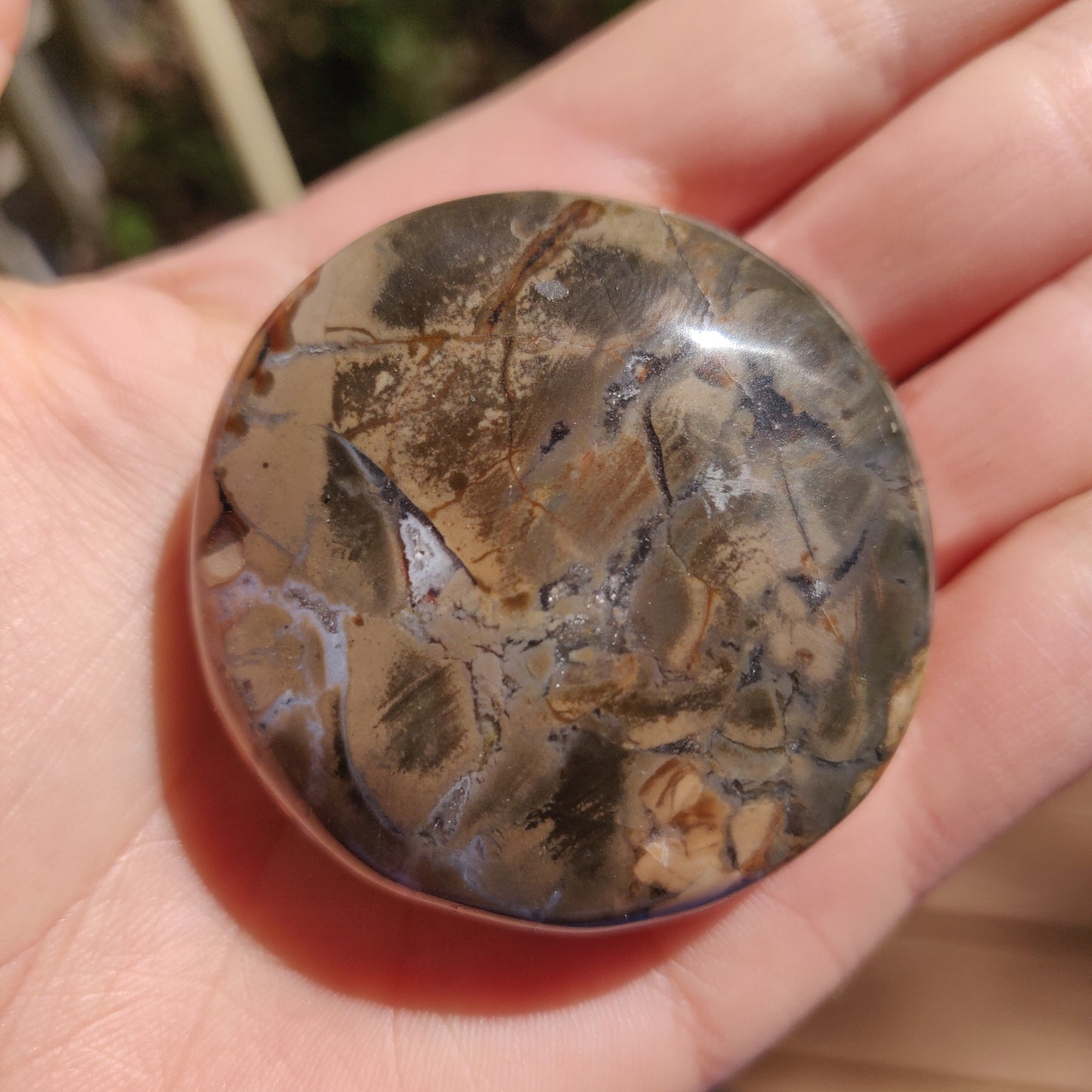 Ibis Jasper Palm Stone (#11)