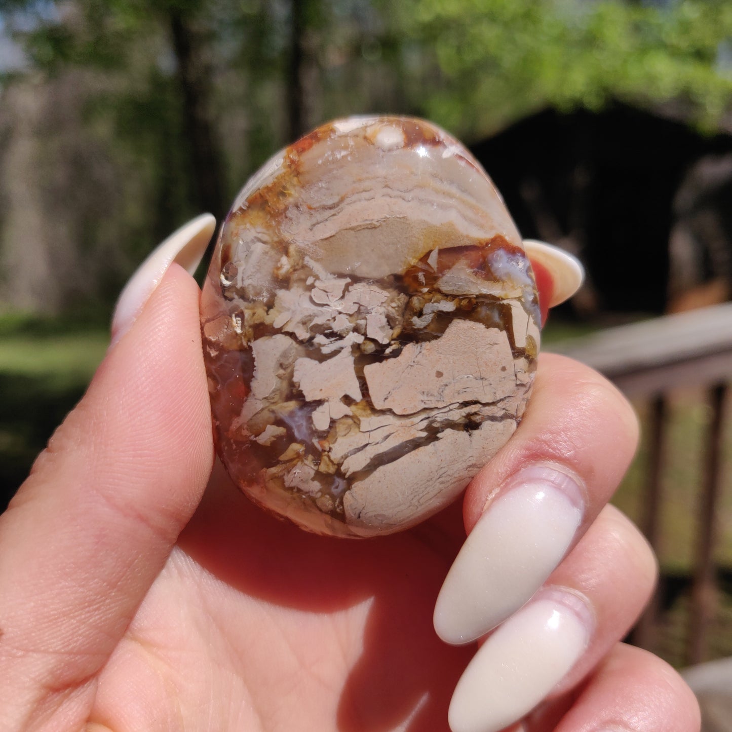 Ibis Jasper Palm Stone (#12)