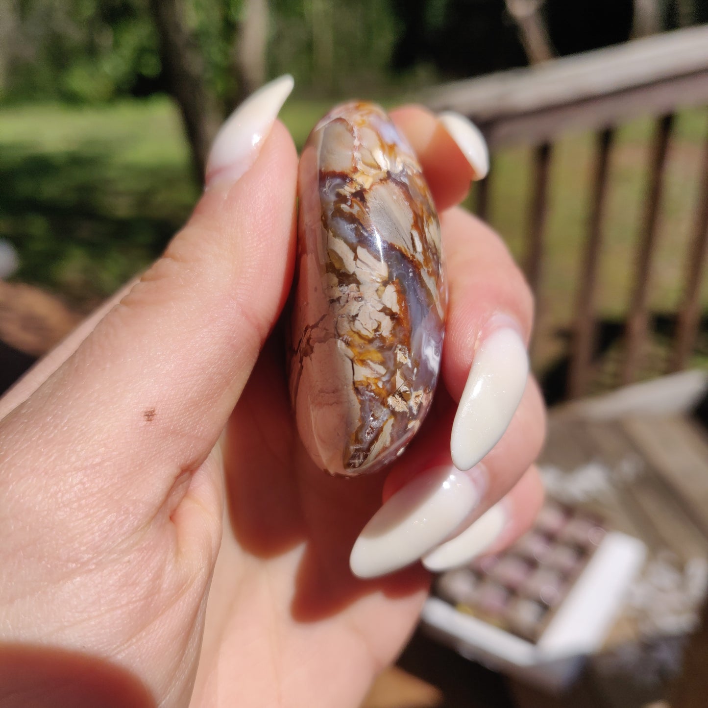 Ibis Jasper Palm Stone (#12)
