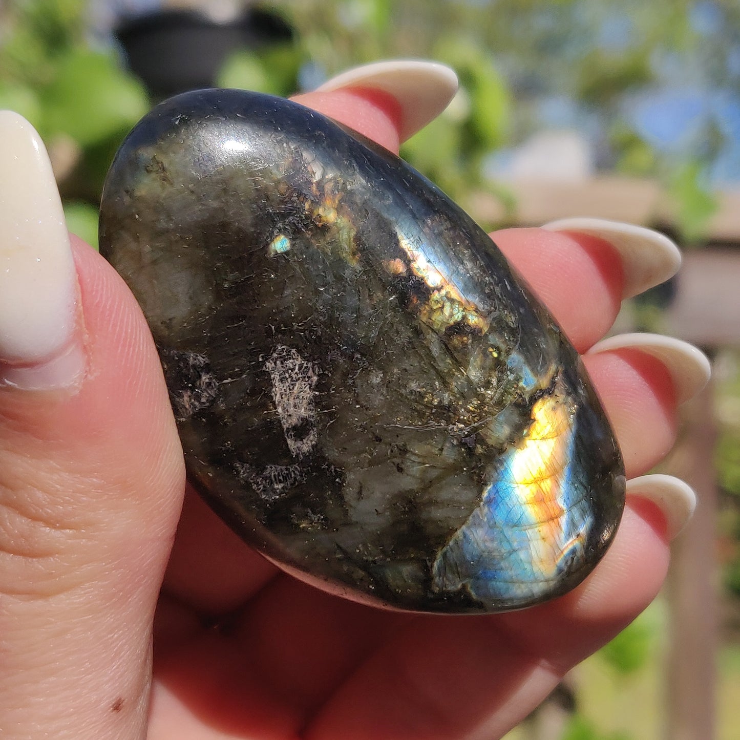 Labradorite Palm Stone (#213)