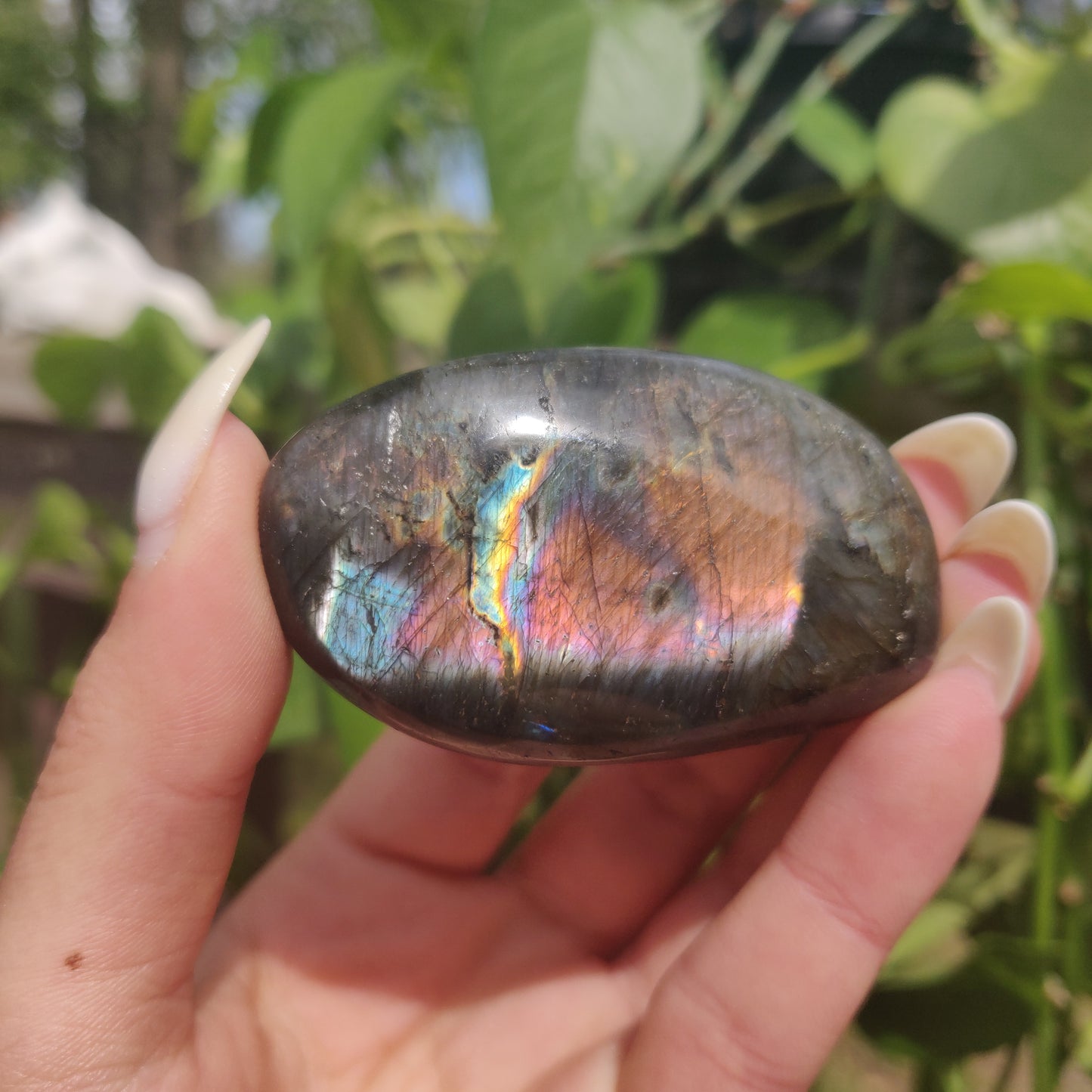 Labradorite Palm Stone (#214)