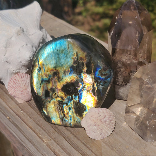 Labradorite Free Form (#4P)