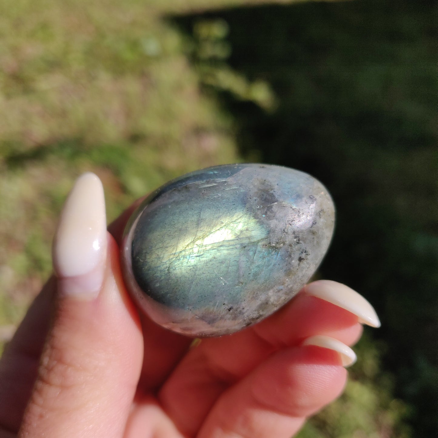 Labradorite Egg (#3) - Simply Affinity