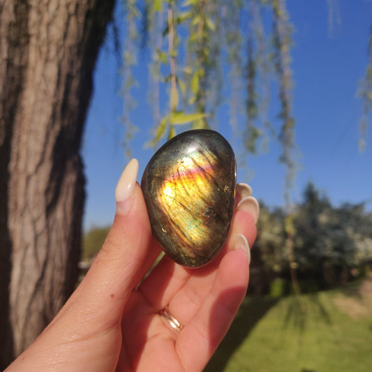 Labradorite Palm Stone (#232) - Simply Affinity