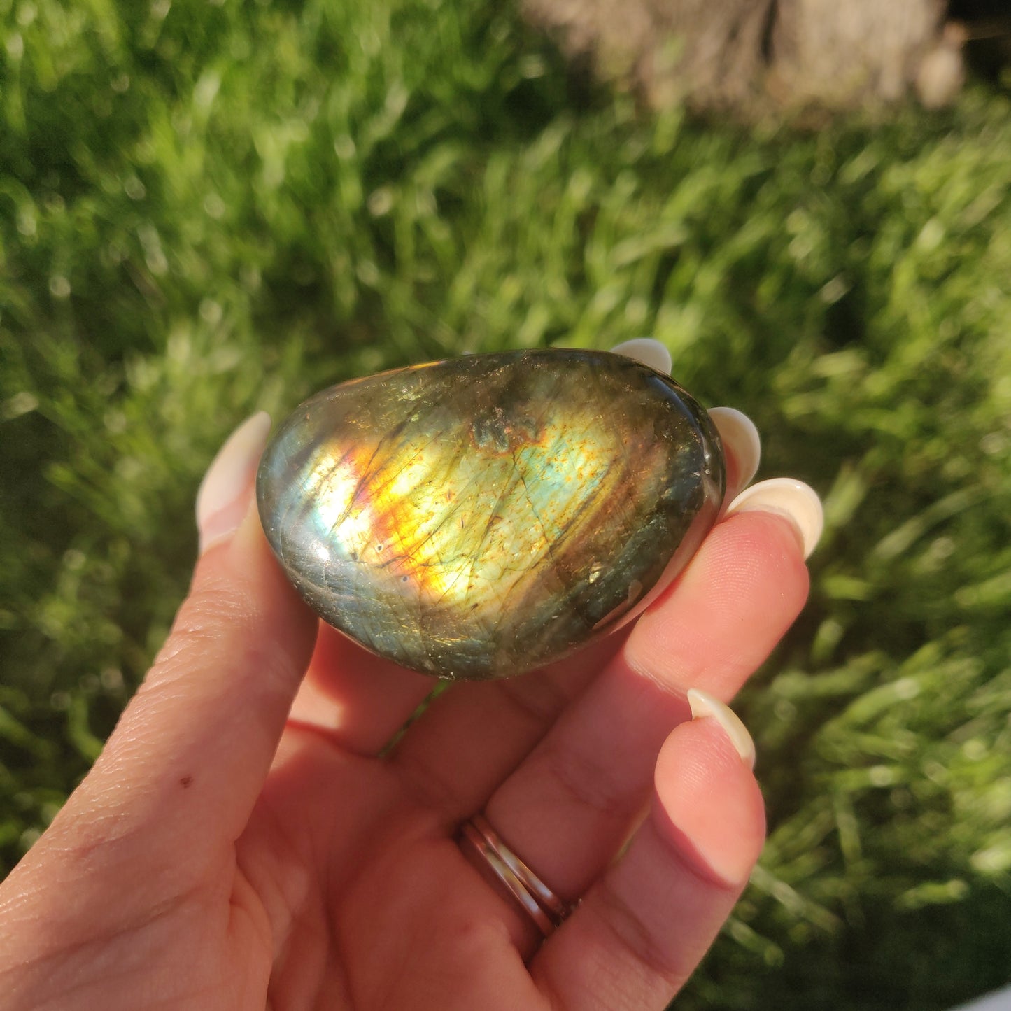 Labradorite Palm Stone (#232) - Simply Affinity