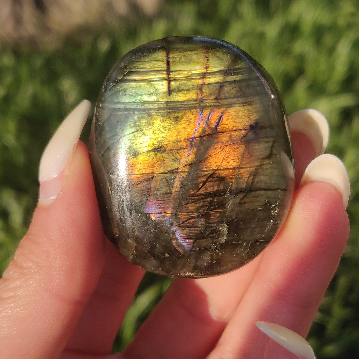 Labradorite Palm Stone (#234) - Simply Affinity