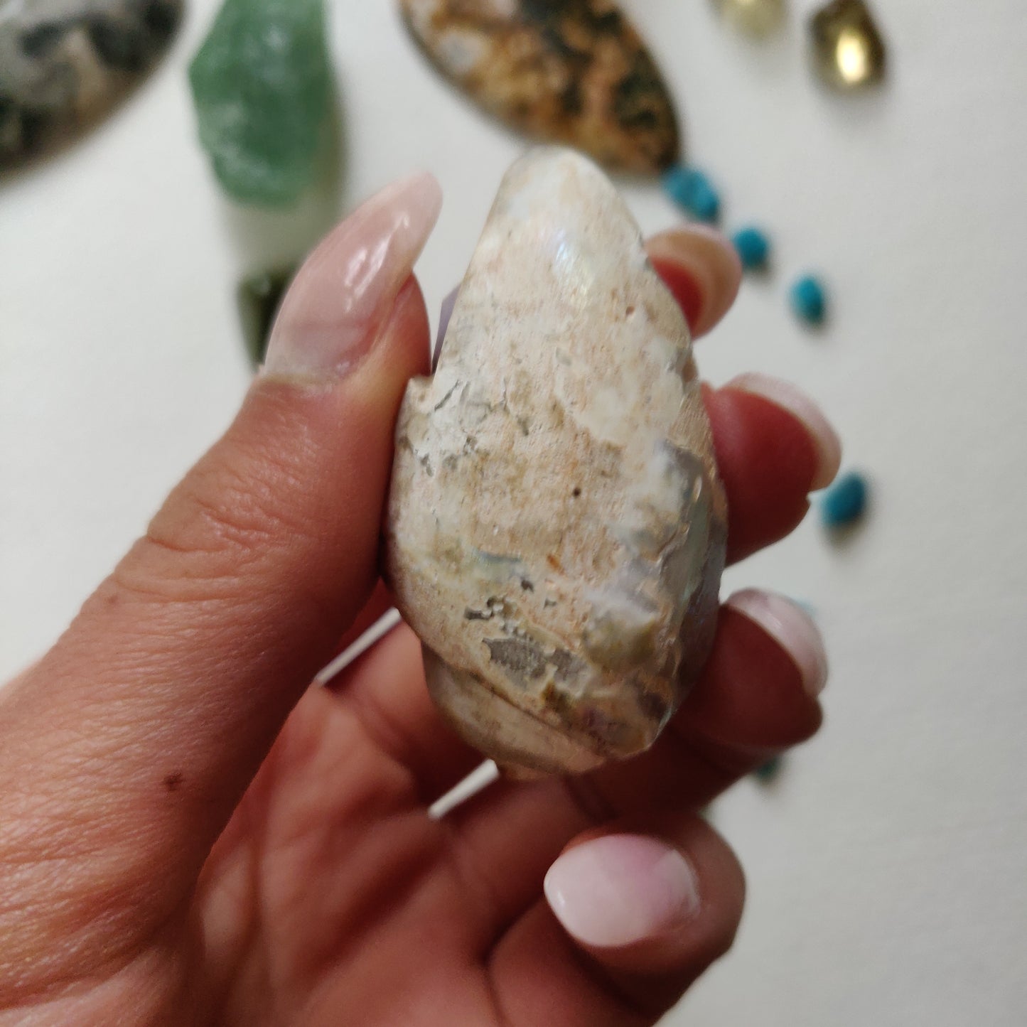 Aura Druzy Shell (#14) - Simply Affinity