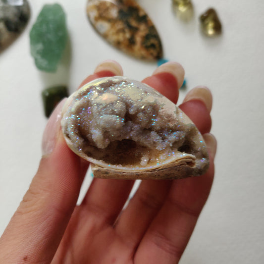 Aura Druzy Shell (#14) - Simply Affinity