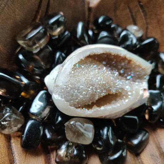 Aura Druzy Shell (#12) - Simply Affinity