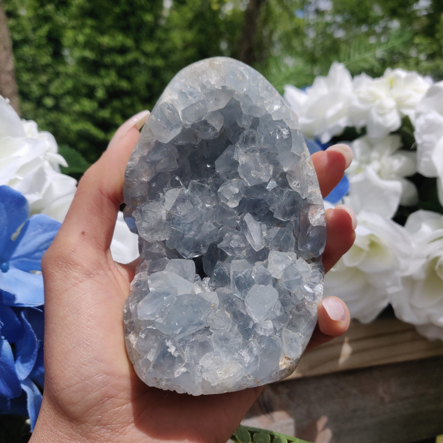 Celestite Geode Freeform (#2)