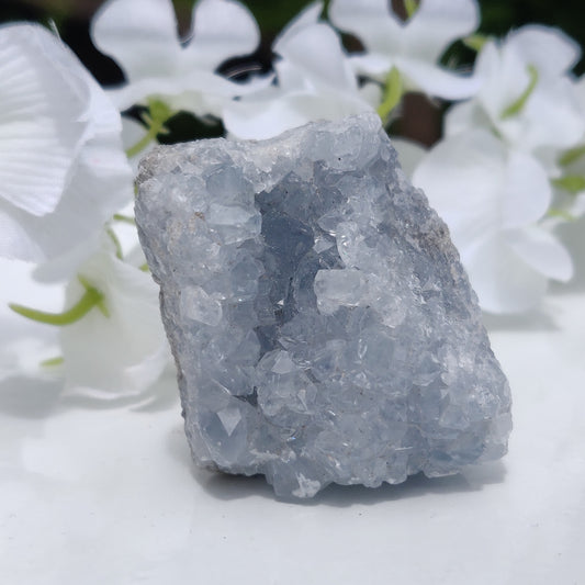 Mini Celestite Geode Freeform (#3)