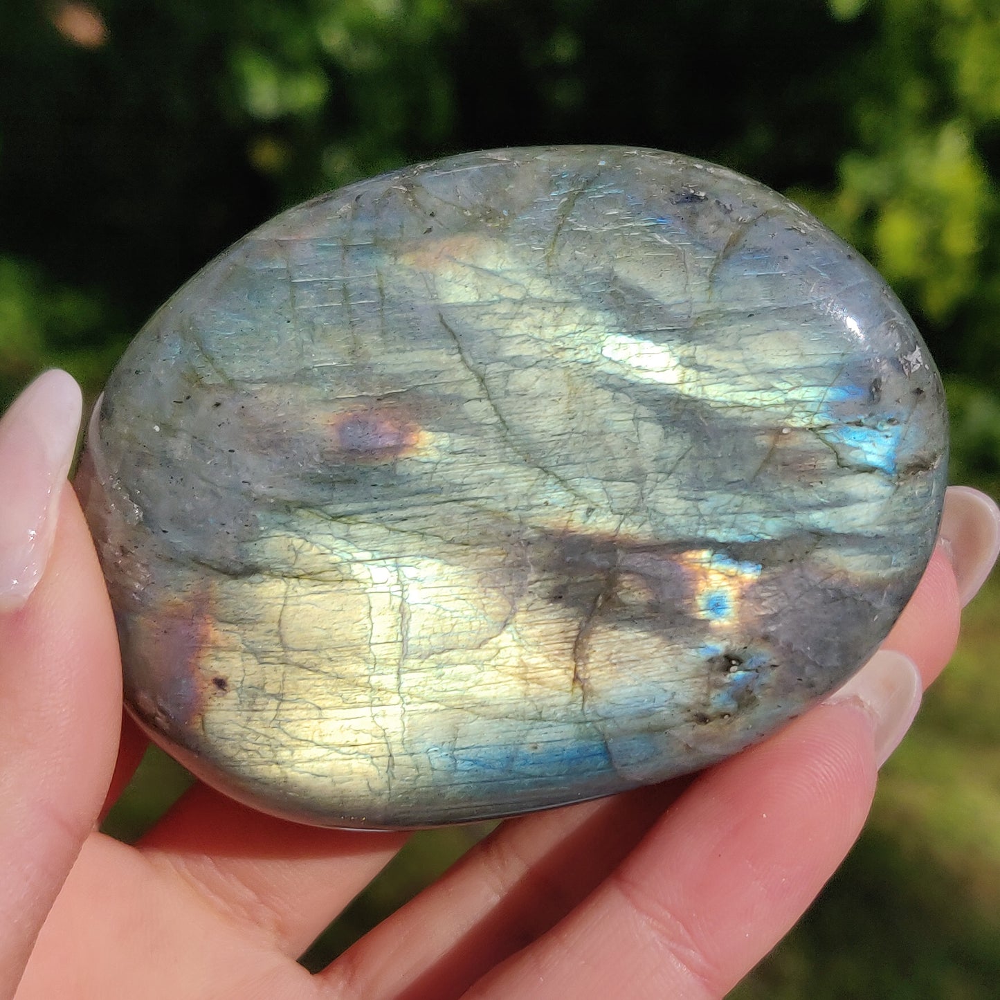 Labradorite Palm Stone (#227) - Simply Affinity
