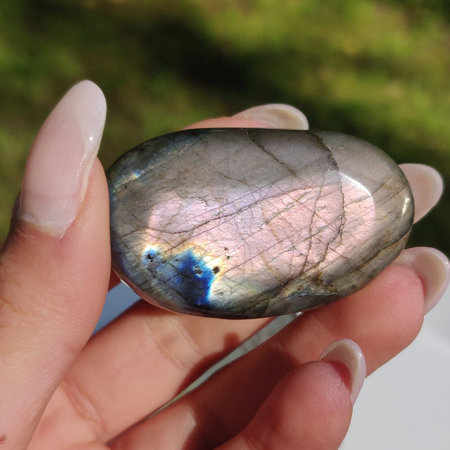 Labradorite Palm Stone (#231) - Simply Affinity