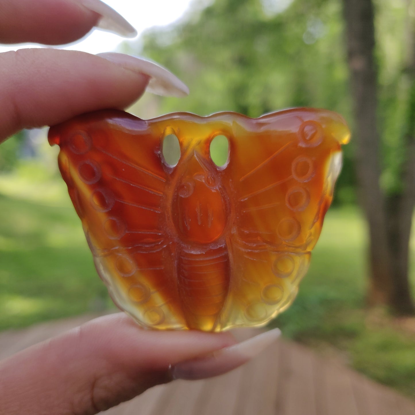 Carnelian Butterfly (#2) - Simply Affinity