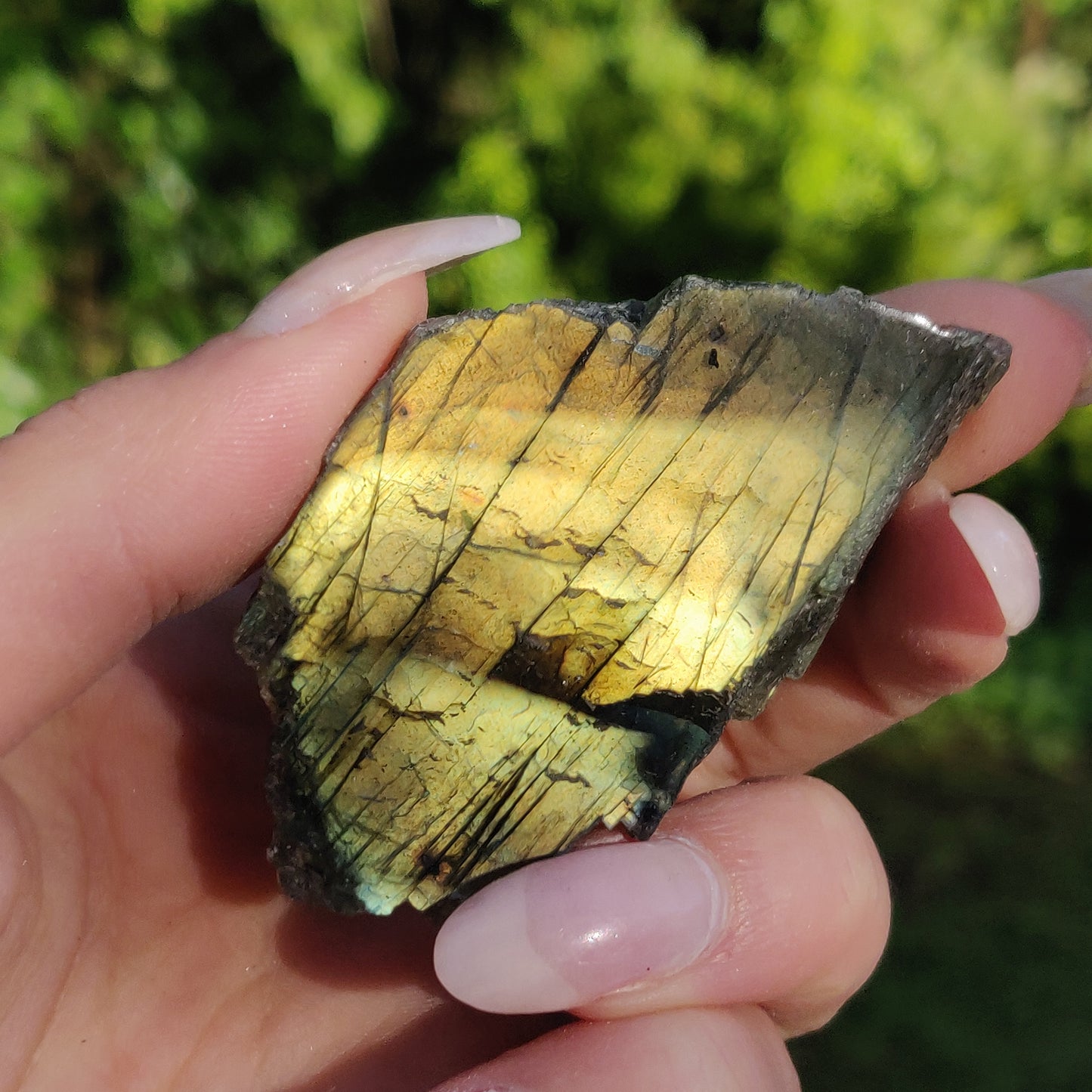 Labradorite Slab (#5) - Simply Affinity