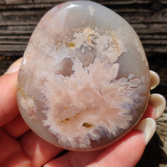 Flower Agate Palm Stone (#39)