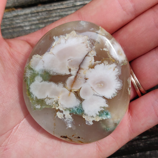 Flower Agate Palm Stone (#40)