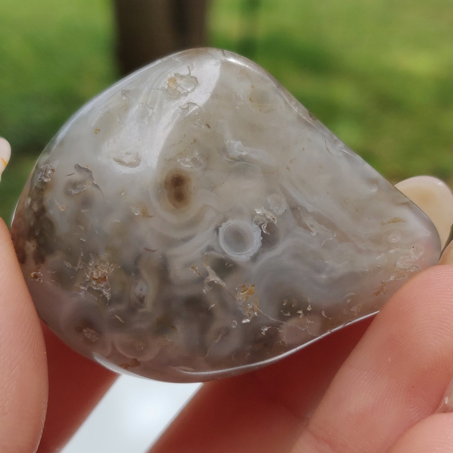 Enhydro Agate Palm Stone (#6)