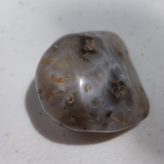 Enhydro Agate Palm Stone (#6)