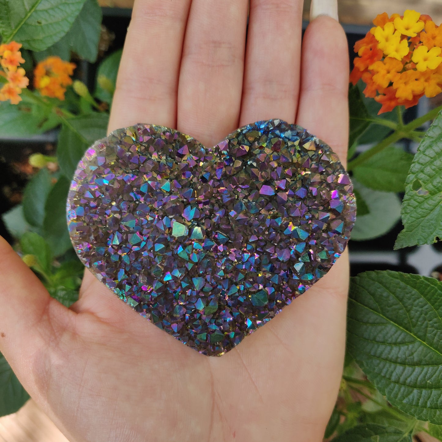 Titanium Amethyst Heart (#11)