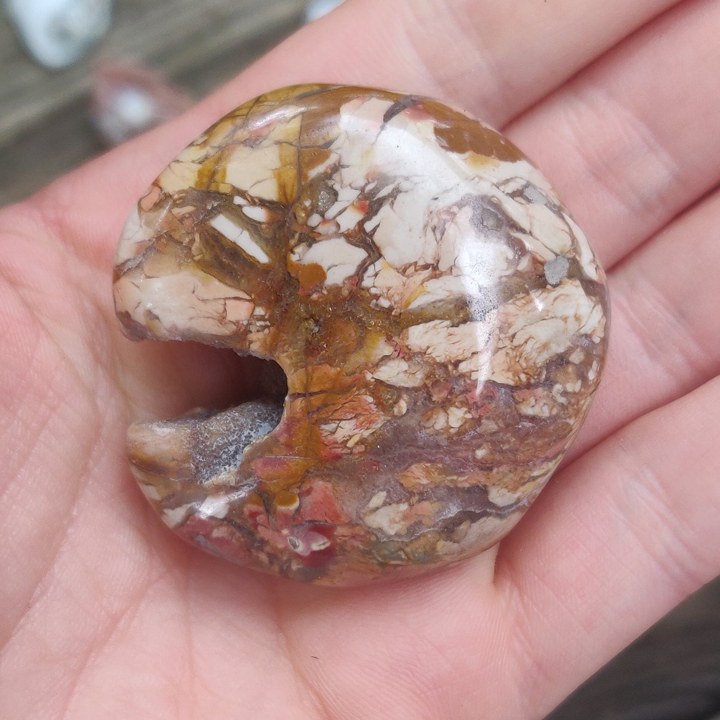 Ibis Jasper Palm Stone (#2)