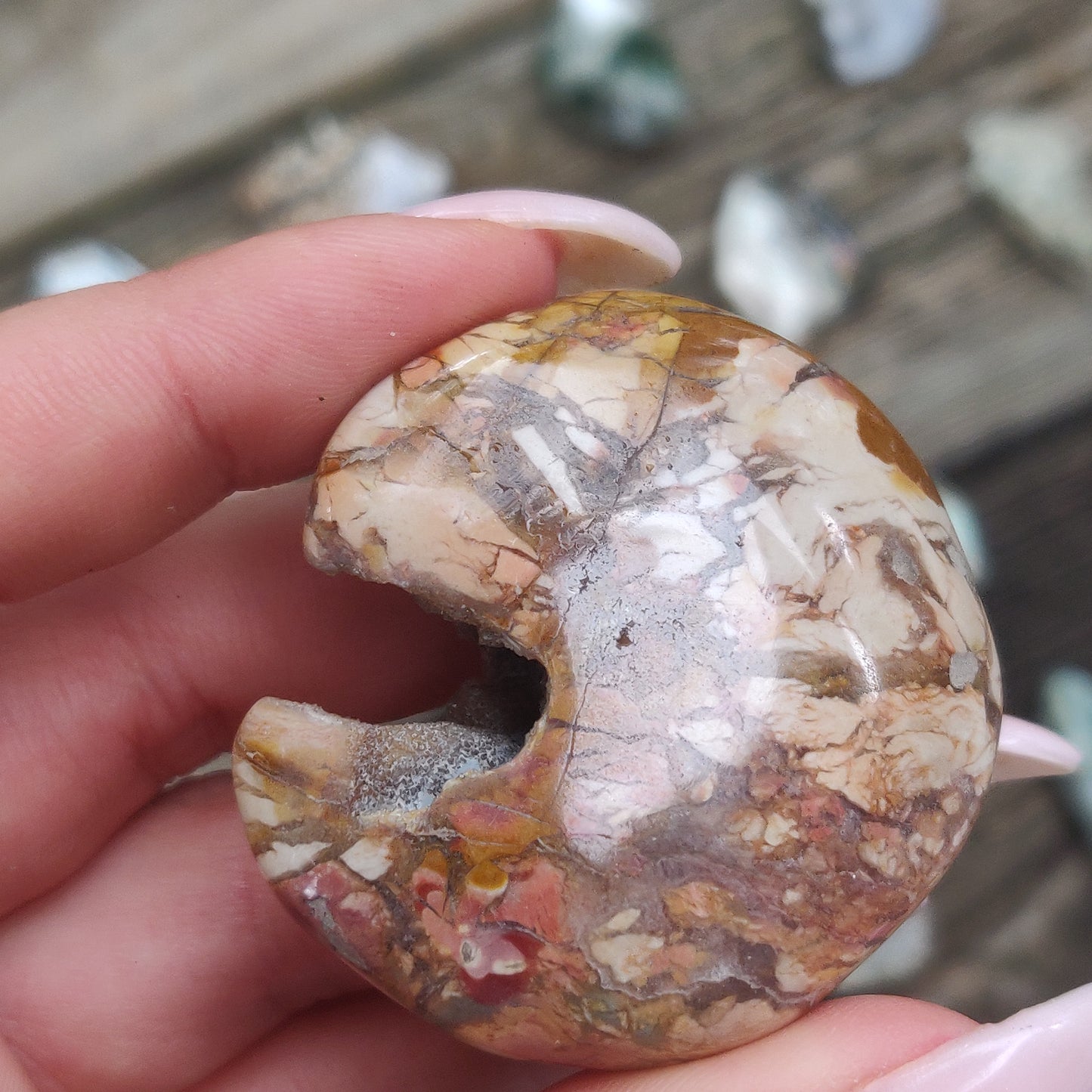 Ibis Jasper Palm Stone (#2)