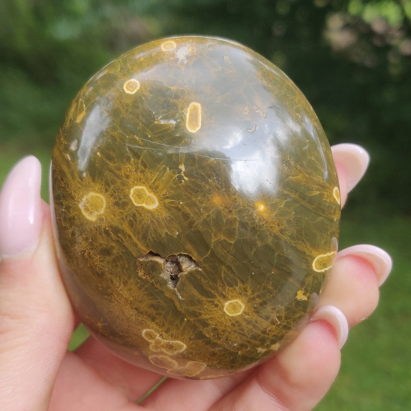Kabamby Ocean Jasper Palm Stone (#2)
