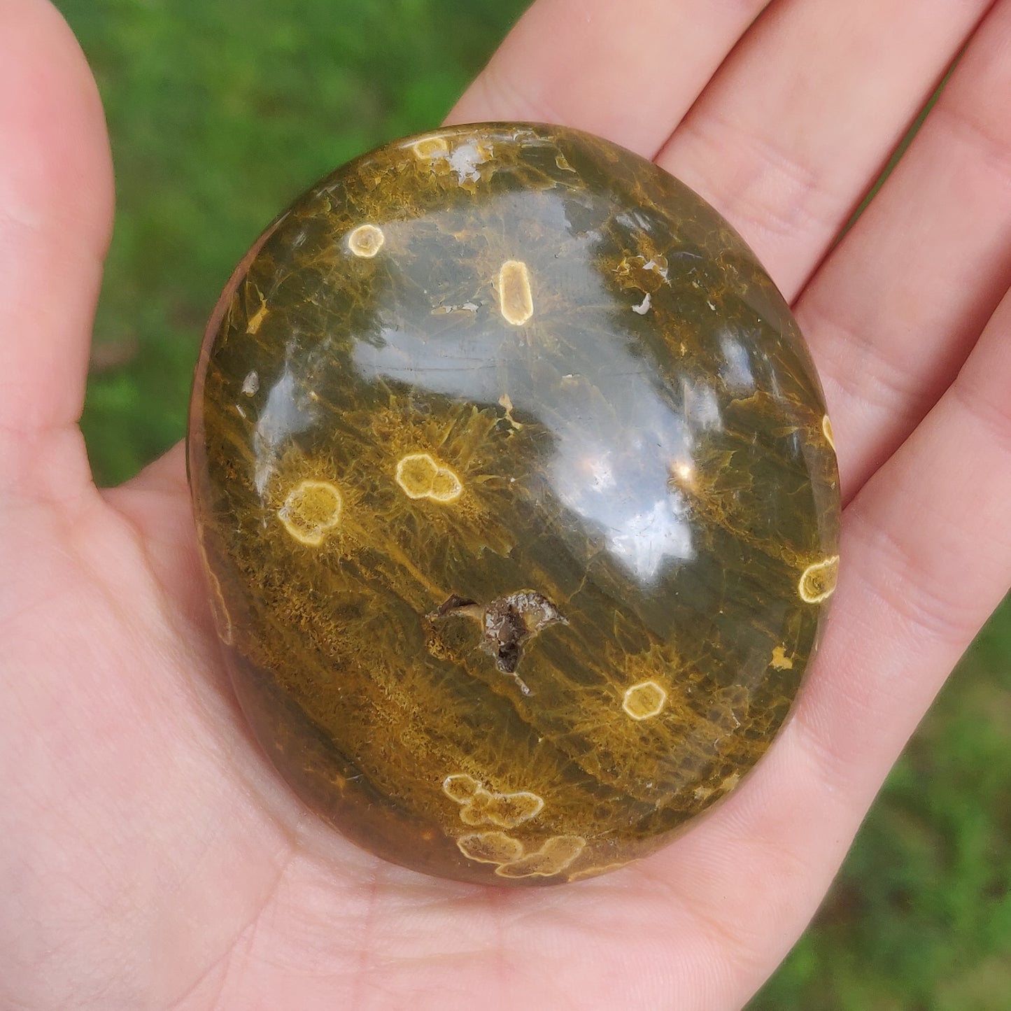 Kabamby Ocean Jasper Palm Stone (#2)