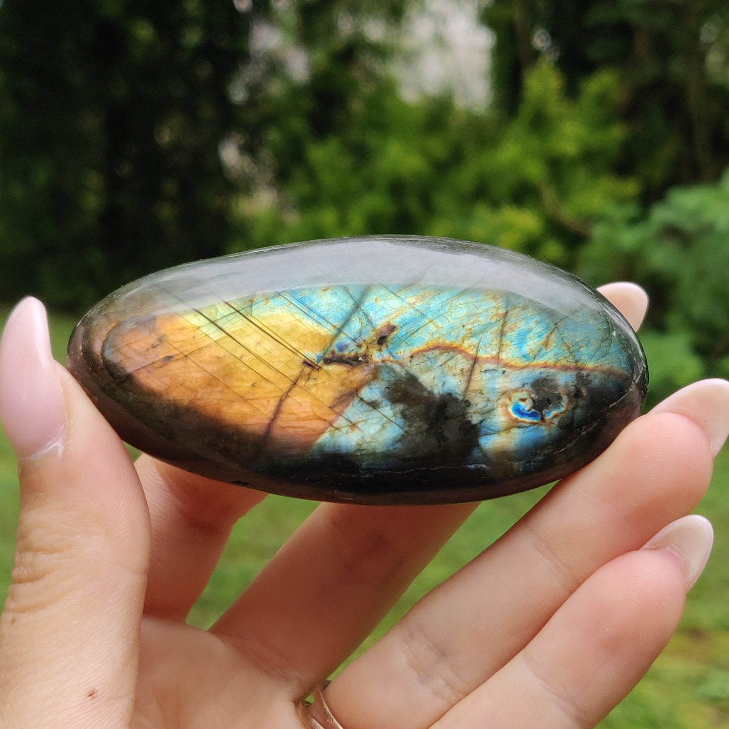 Labradorite Palm Stone (#249)
