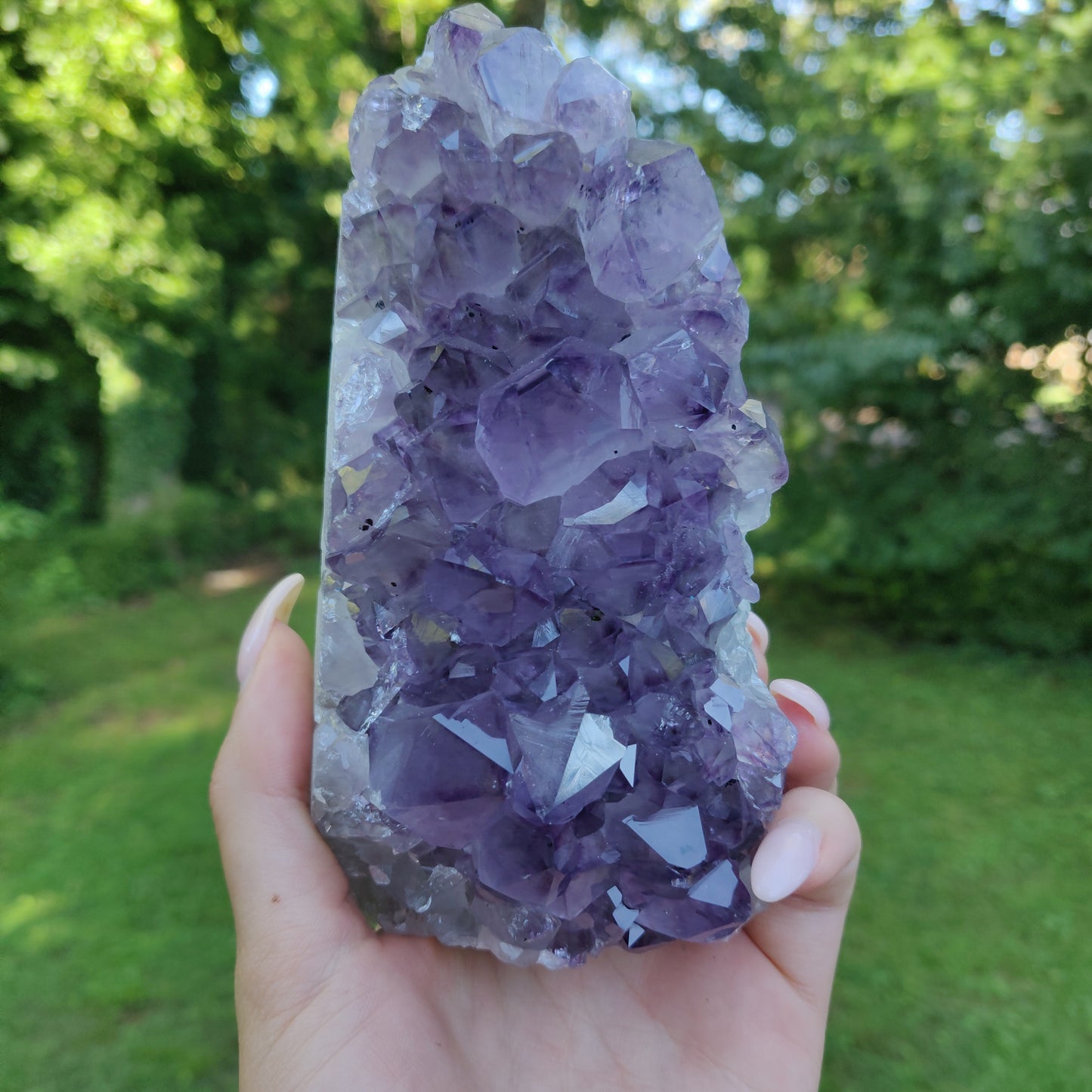 Amethyst Geode Free Form, Cut Base (#35)