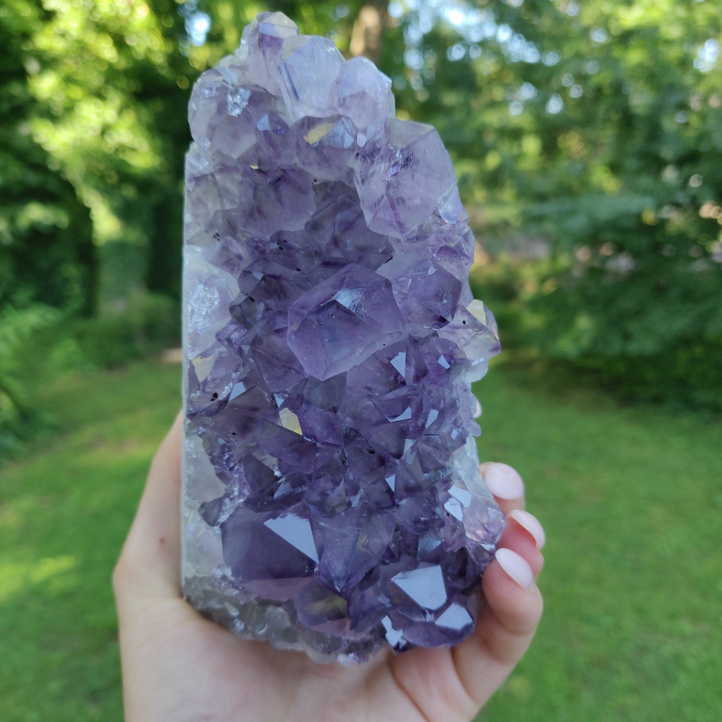 Amethyst Geode Free Form, Cut Base (#35)