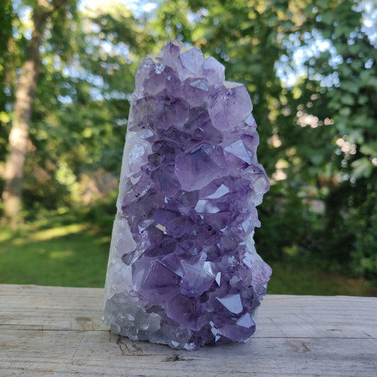 Amethyst Geode Free Form, Cut Base (#35)