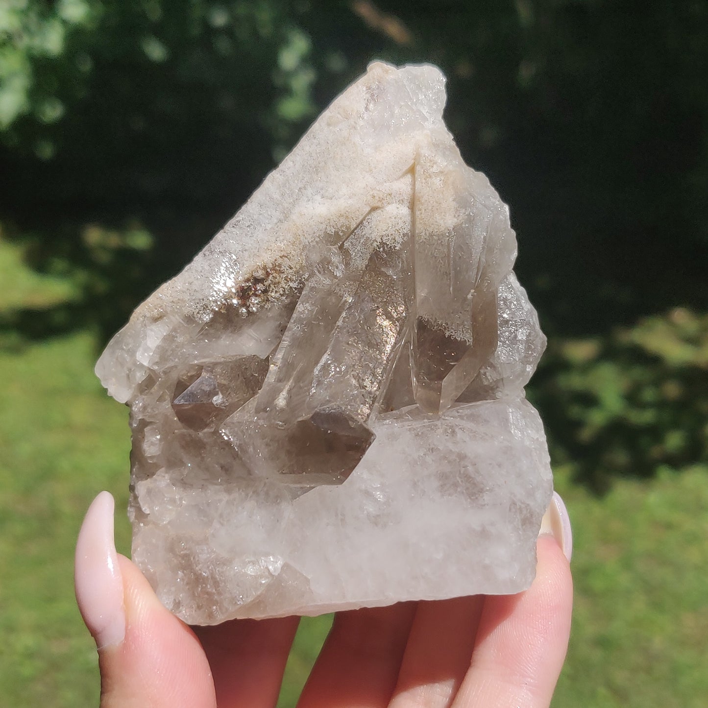 Smoky Quartz Cluster (#4)