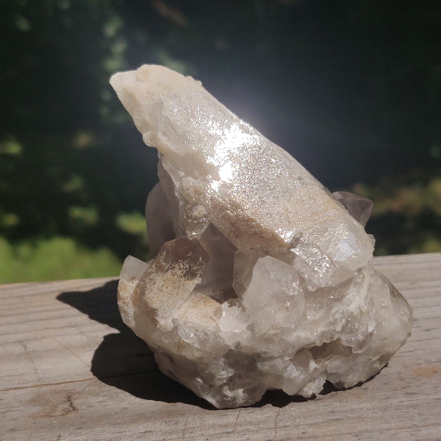 Smoky Quartz Cluster (#4)