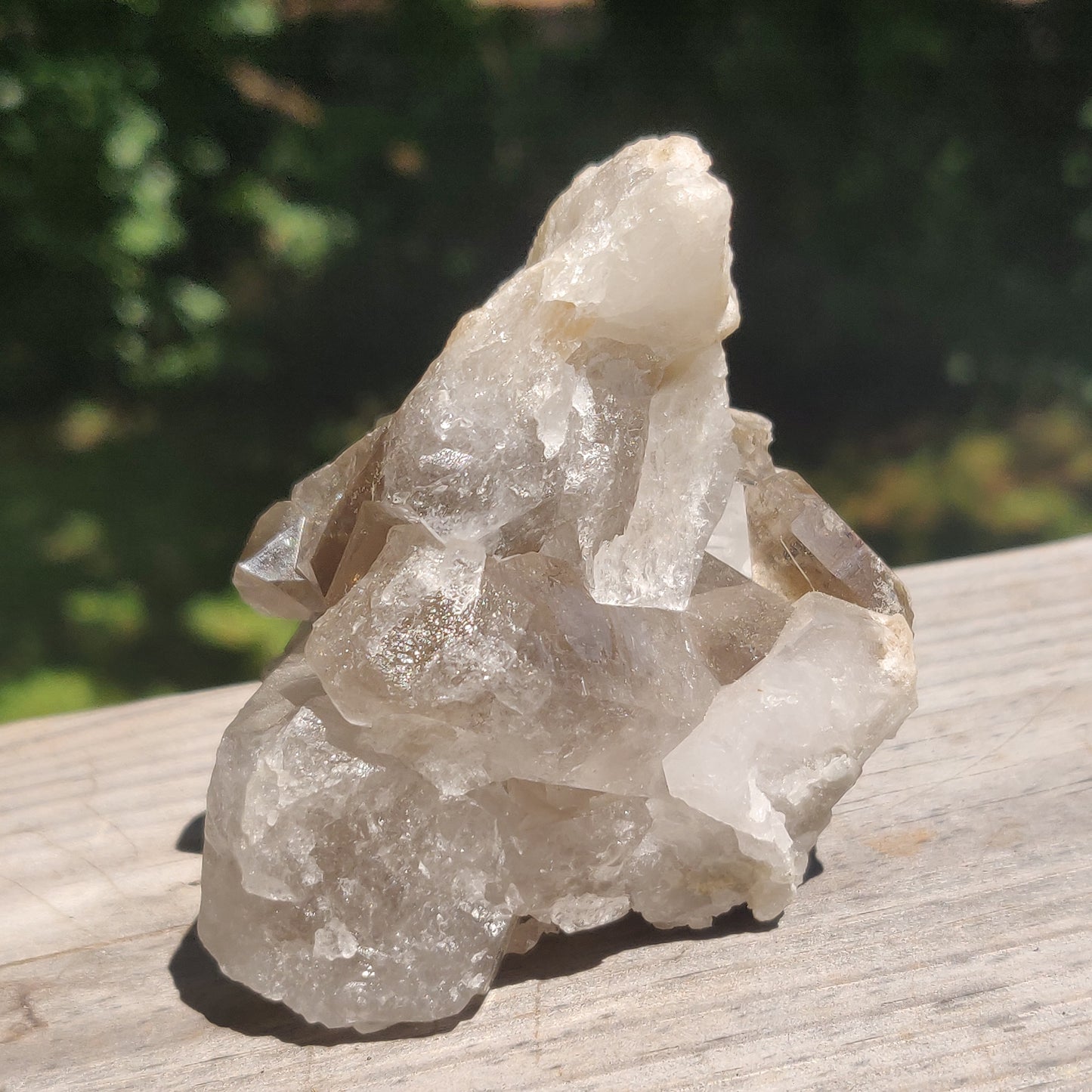 Smoky Quartz Cluster (#4)