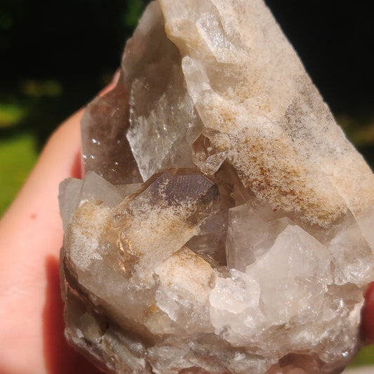 Smoky Quartz Cluster (#4)