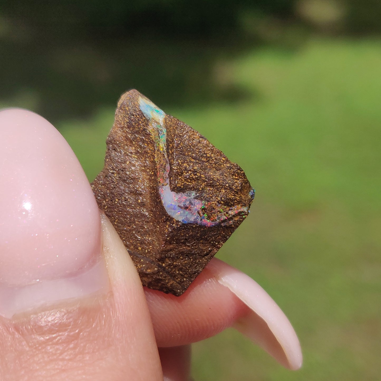Australian Boulder Opal Rough Specimen(#9) - Simply Affinity