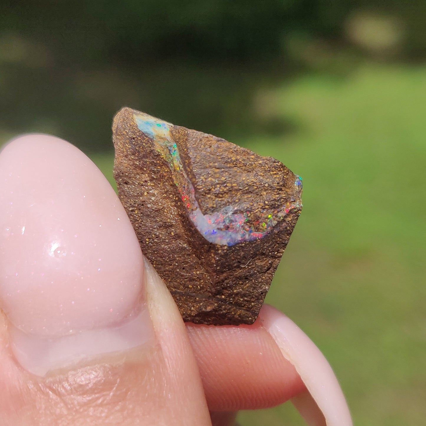Australian Boulder Opal Rough Specimen(#9) - Simply Affinity