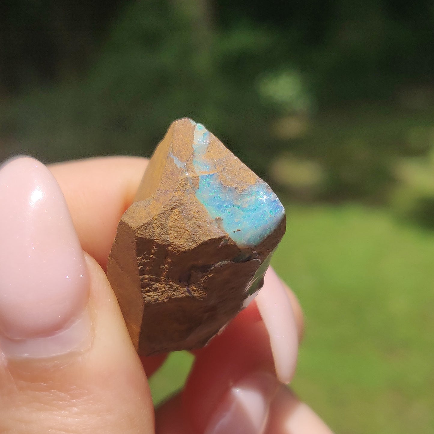 Australian Boulder Opal Rough Specimen(#11) - Simply Affinity