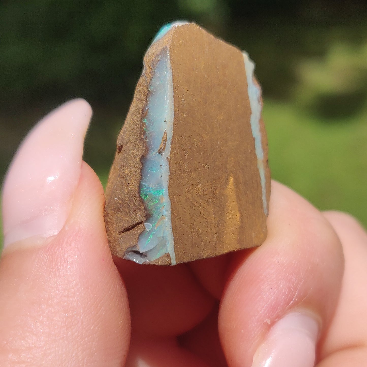 Australian Boulder Opal Rough Specimen(#11) - Simply Affinity