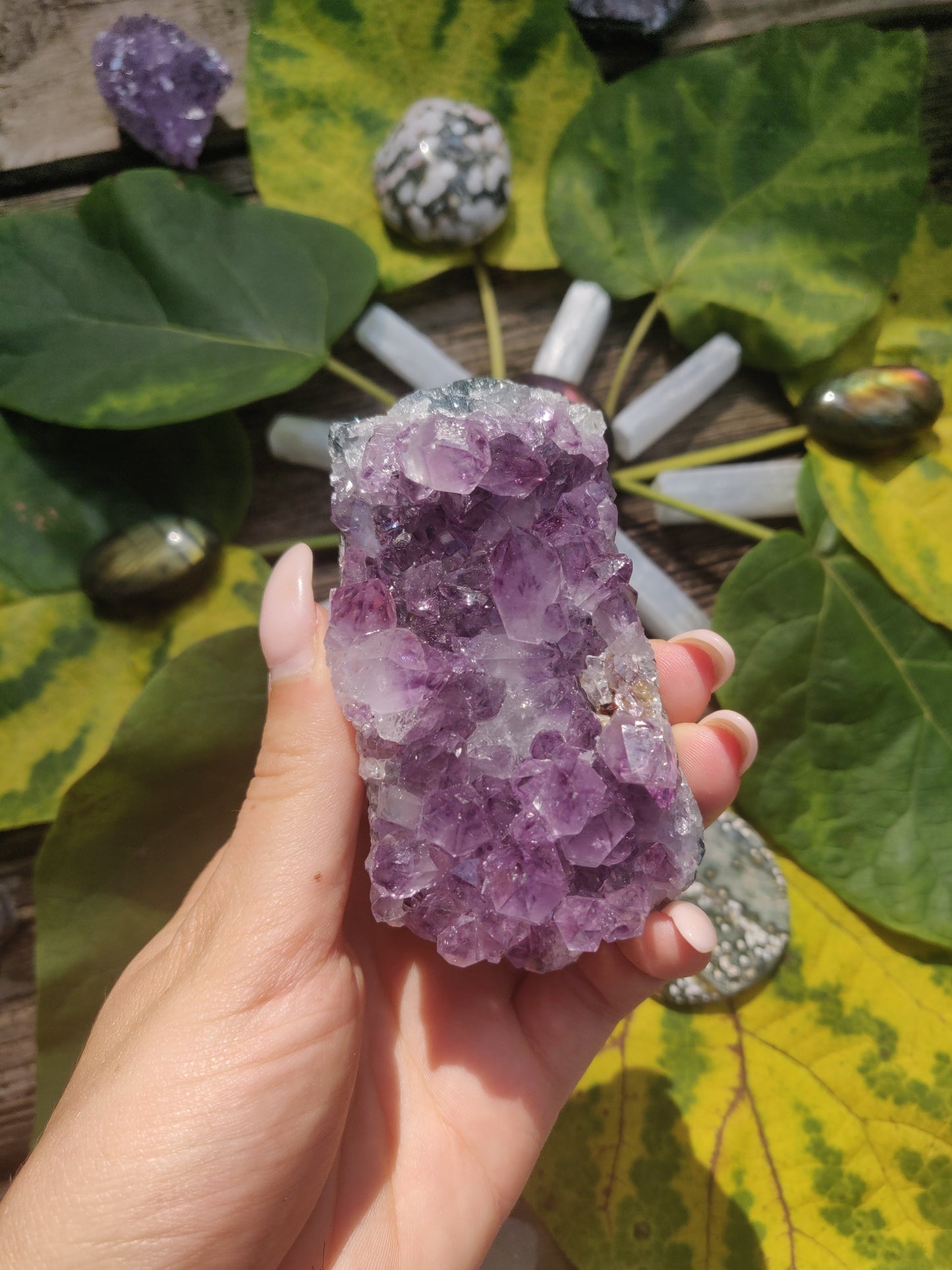 Amethyst Cluster (#1) - Simply Affinity