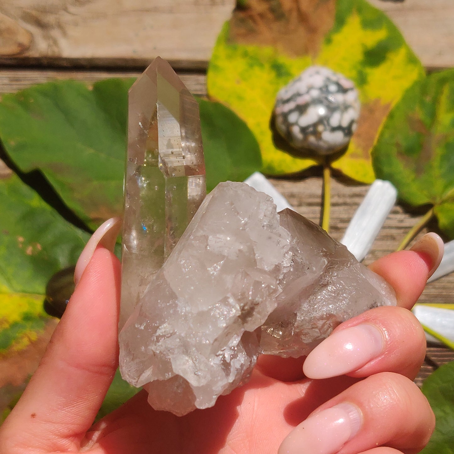 Smoky Lemurian Quartz Point (#7)