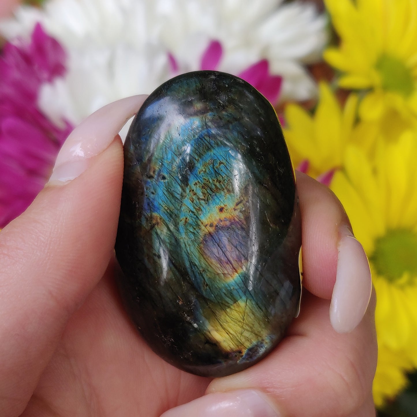 Labradorite Palm Stone (#146) - Simply Affinity