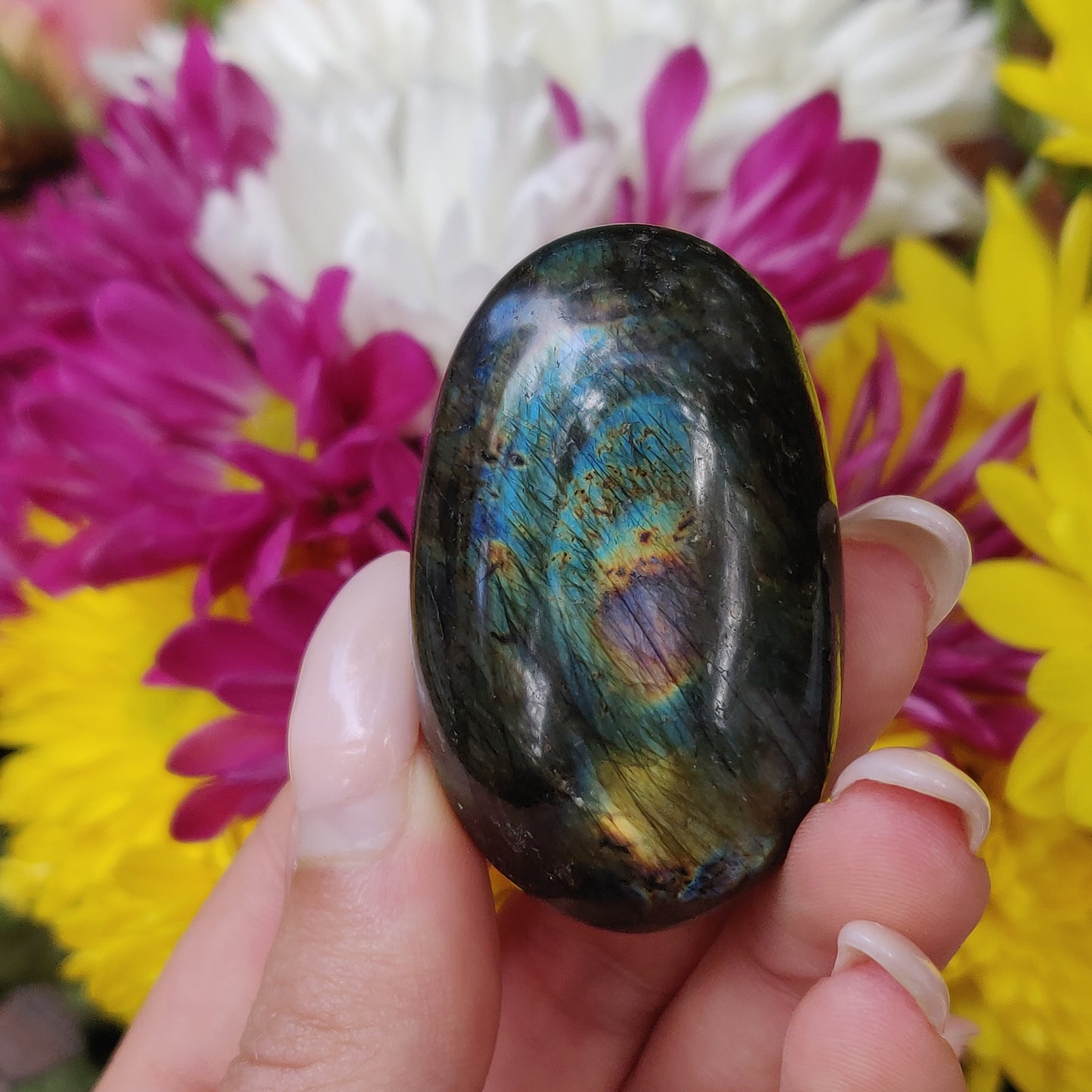 Labradorite Palm Stone (#146) - Simply Affinity