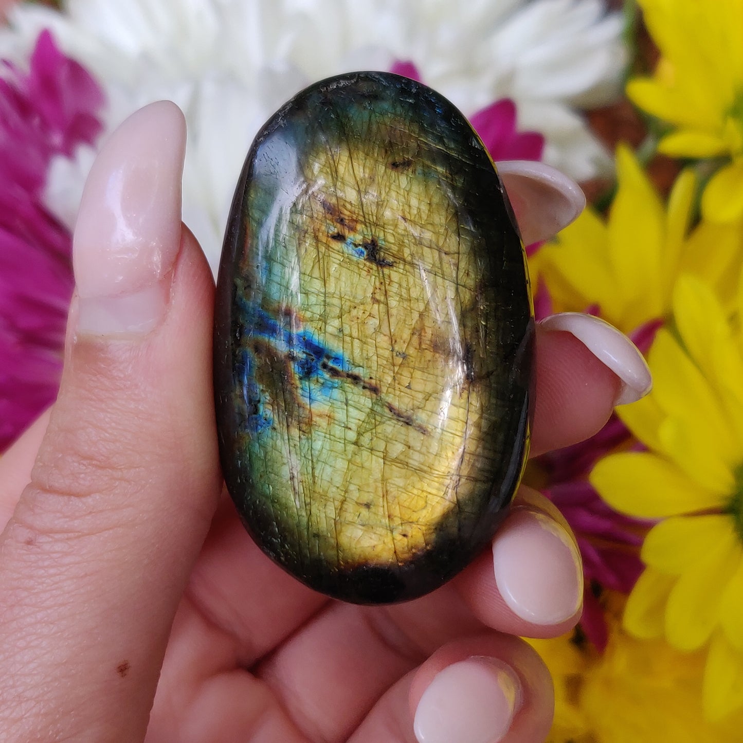 Labradorite Palm Stone (#146) - Simply Affinity