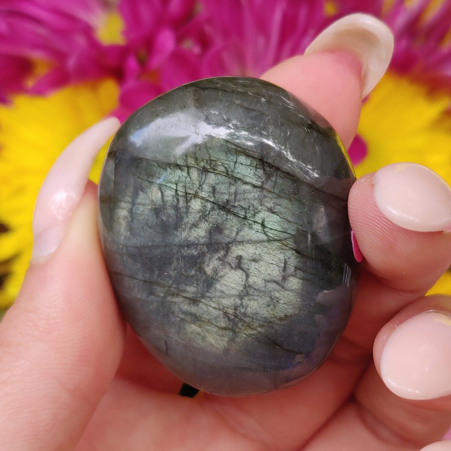 Labradorite Palm Stone (#235) - Simply Affinity