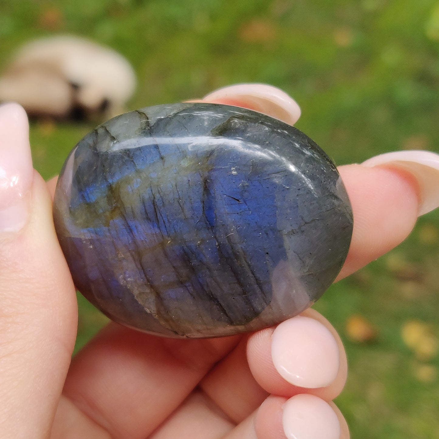 Labradorite Palm Stone (#235) - Simply Affinity